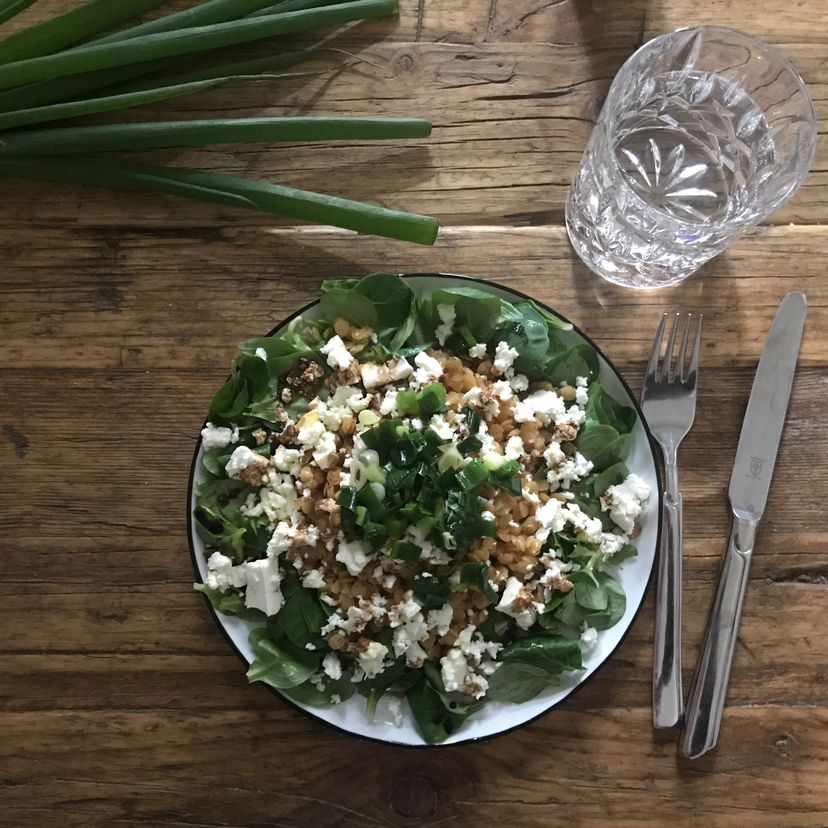 Warmer Linsensalat mit Feta