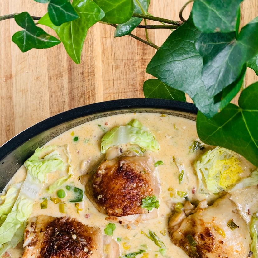 Chicken thighs in mustard cream sauce with vegetables