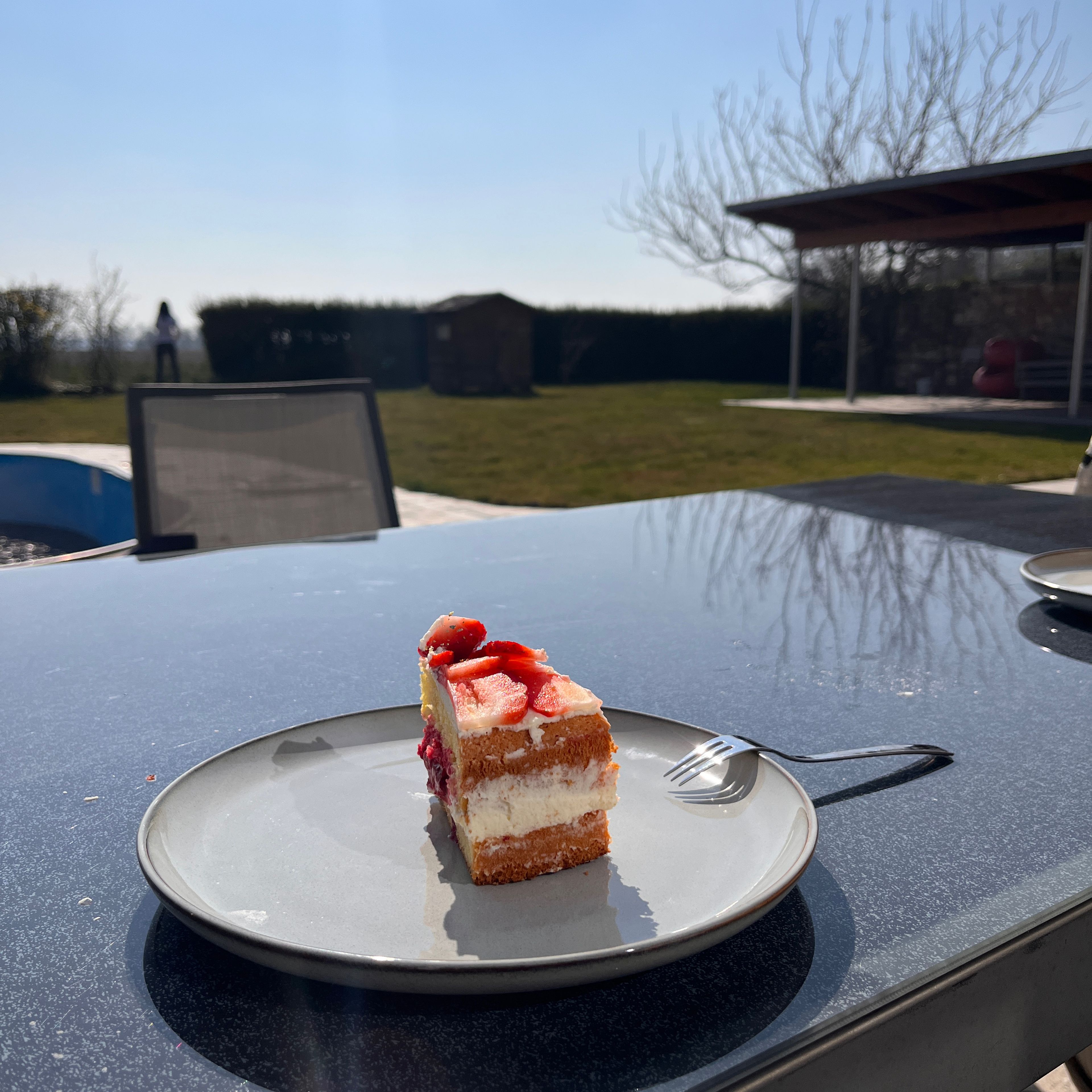 Den Kuchen vorsichtig in Stücke schneiden und optional mit Puderzucker bestreuen.
