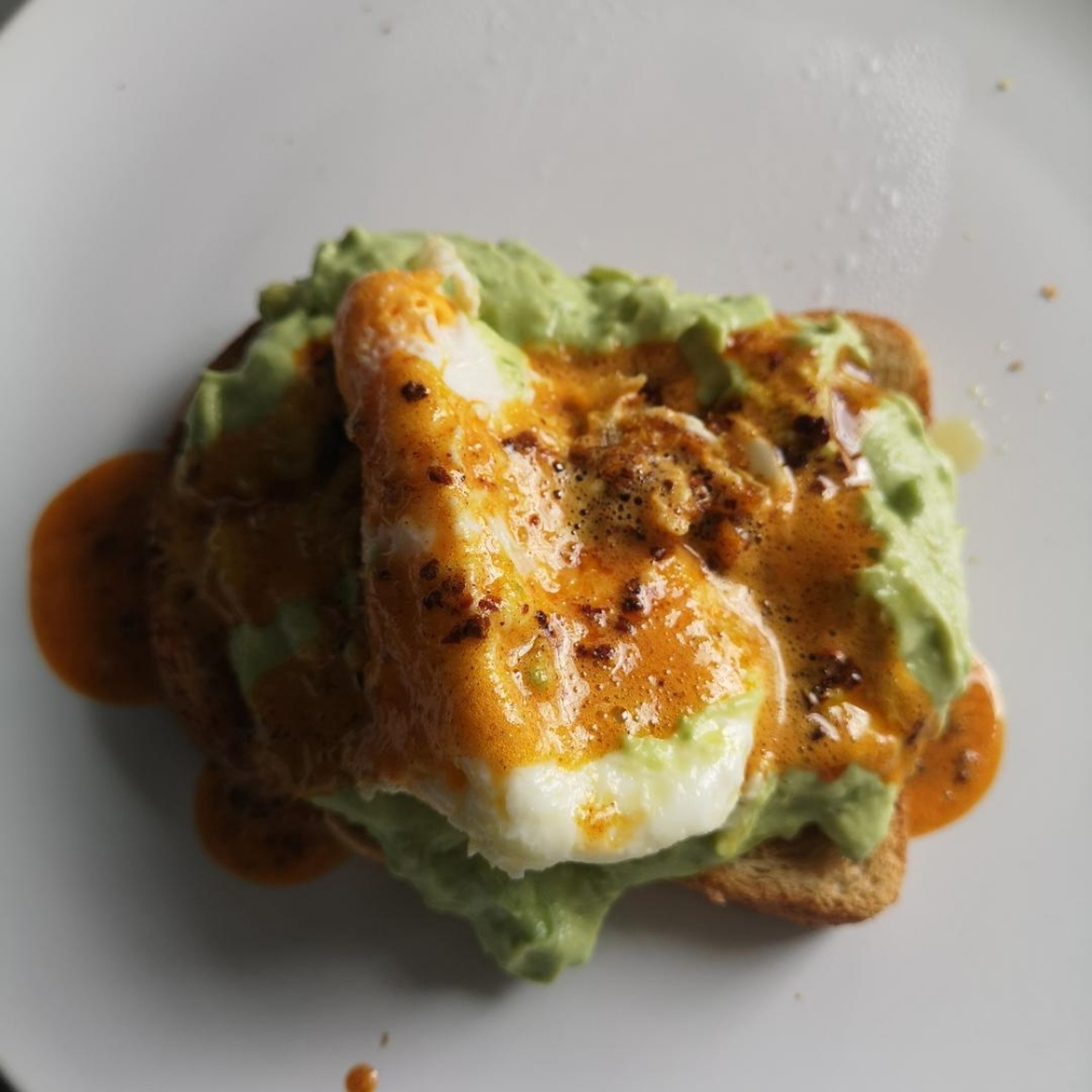 morning glory egg